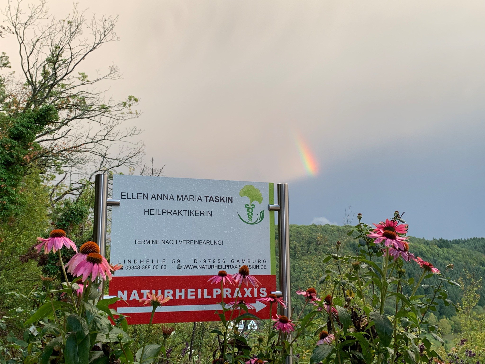 Praxisschild der Naturheilpraxis Taskin in Gamburg zwischen Echinacea-Blüten mit Regenbogen über dem Taubertal